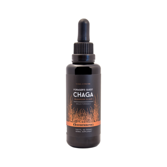 Chaga Mushroom Extract