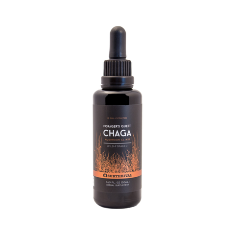 Image of Chaga Mushroom Extract