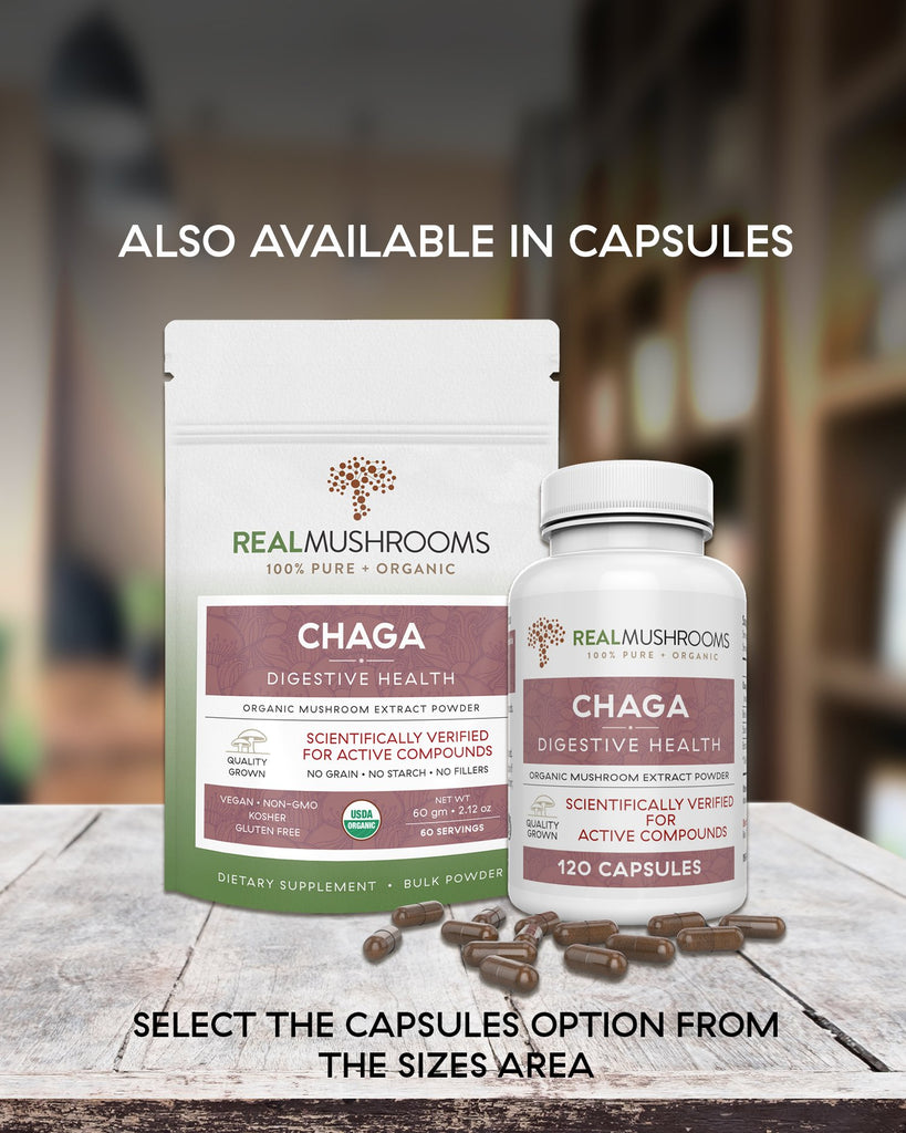 Chaga Extract - 60g Bulk Powder