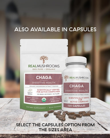 Image of Chaga Extract - 60g Bulk Powder