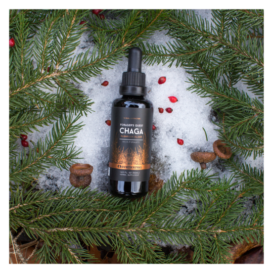 Chaga Mushroom Extract