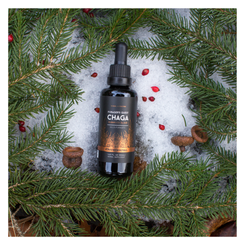 Image of Chaga Mushroom Extract