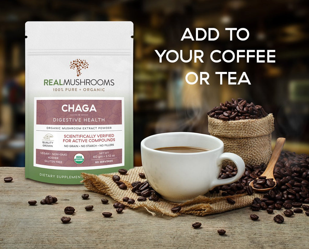 Chaga Extract - 60g Bulk Powder