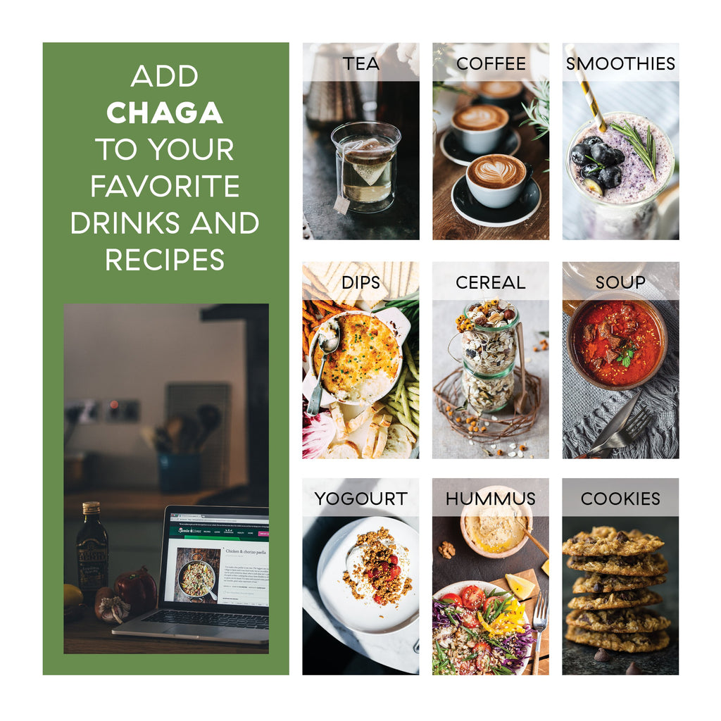 Chaga Extract - 60g Bulk Powder