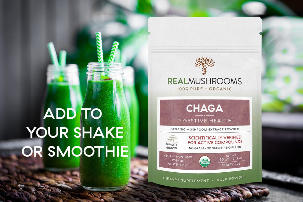 Chaga Extract - 60g Bulk Powder