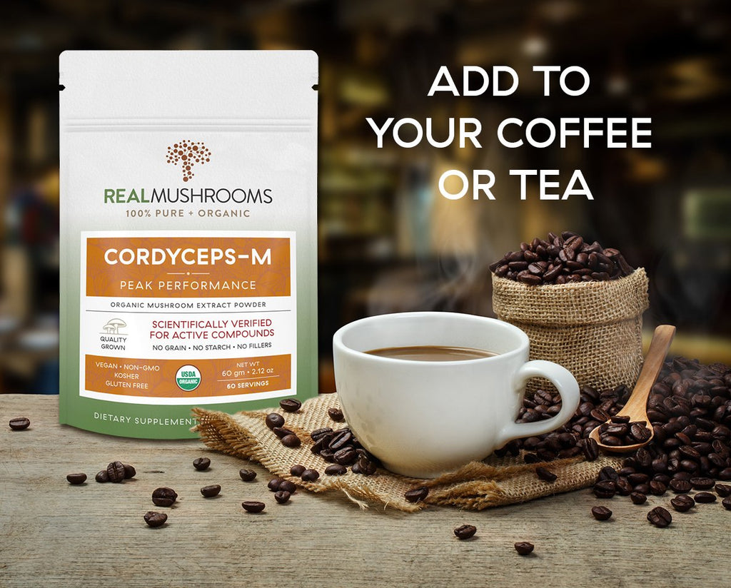 Cordyceps-M - 60g Bulk Powder