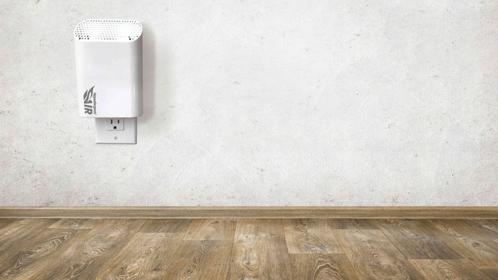 Mold Guard from Hypoallergenic Air