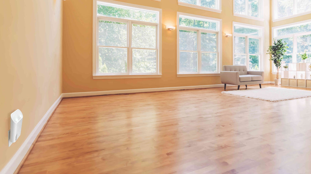 Mold Guard from Hypoallergenic Air