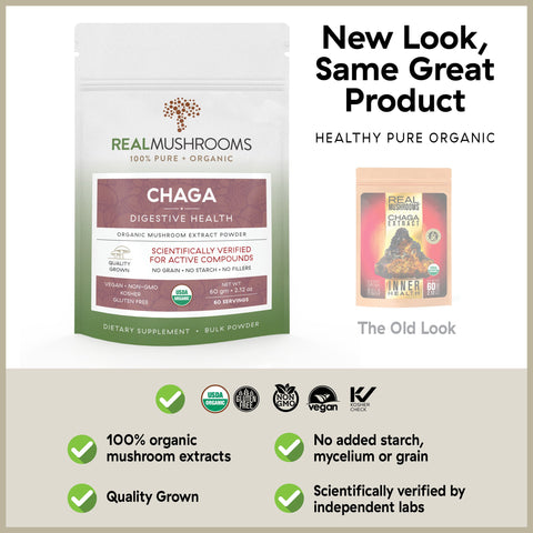 Image of Chaga Extract - 60g Bulk Powder