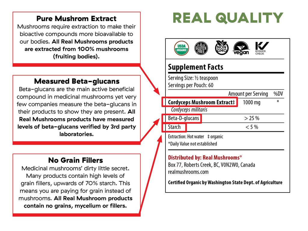 Cordyceps-M - 60g Bulk Powder