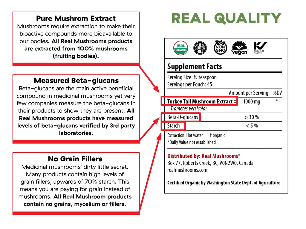 Turkey Tail Extract - 45g Bulk Powder