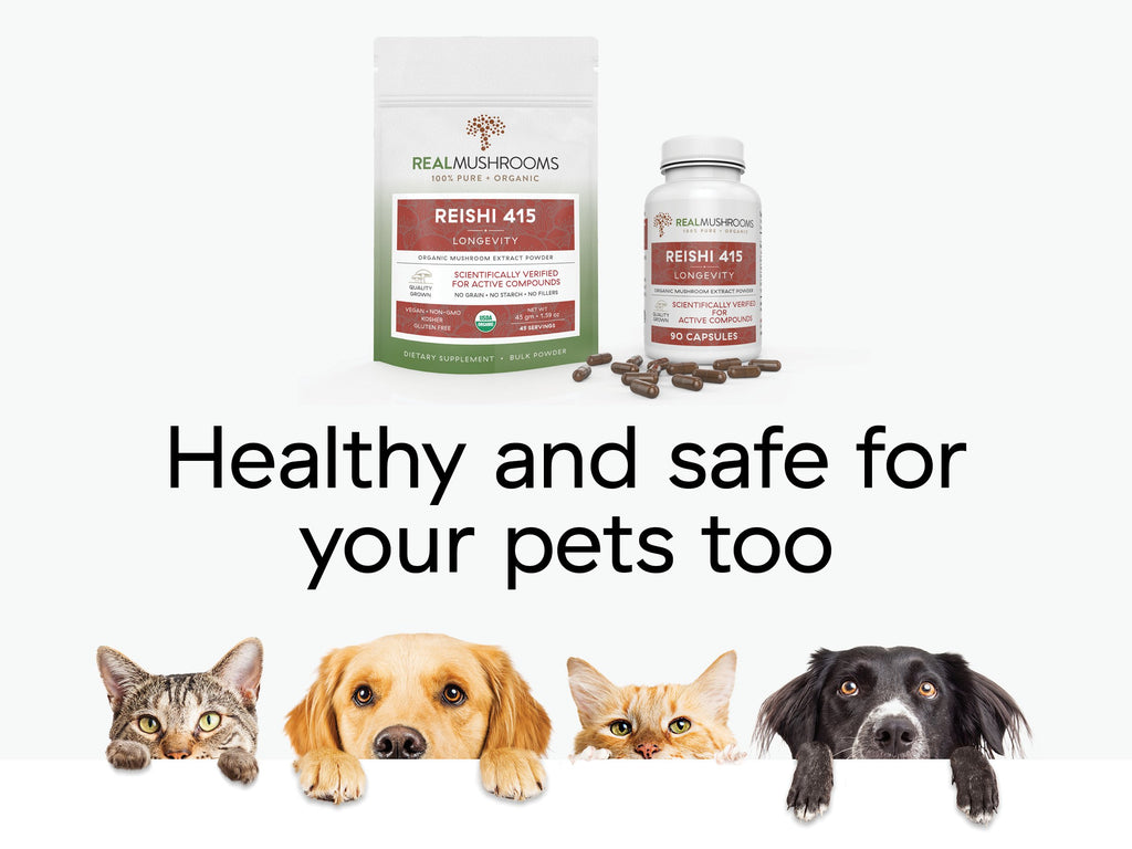 Reishi 415 - 90 Capsules