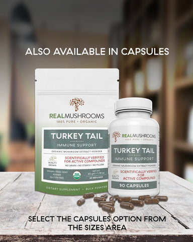 Image of Turkey Tail Extract - 45g Bulk Powder