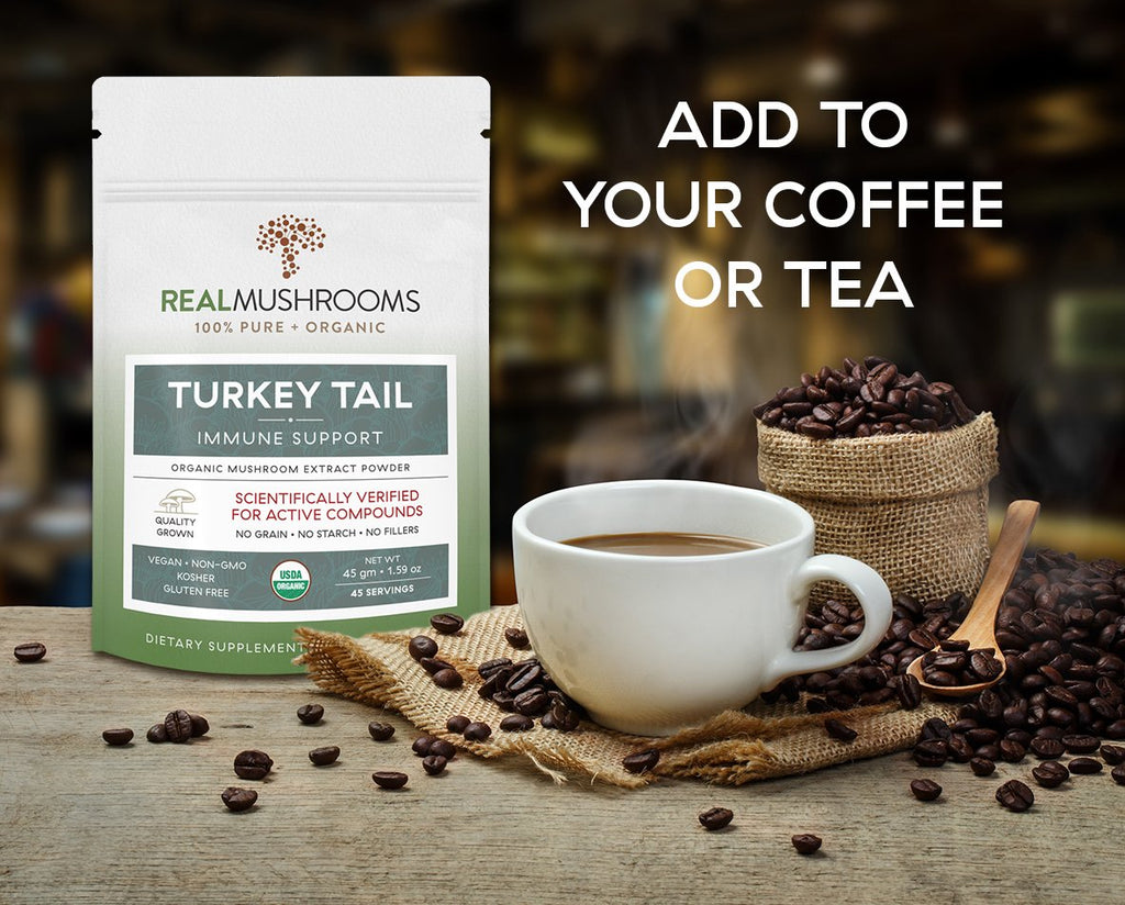 Turkey Tail Extract - 45g Bulk Powder