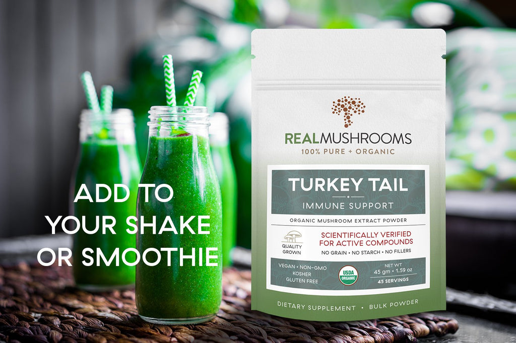 Turkey Tail Extract - 45g Bulk Powder