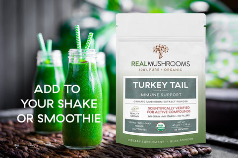 Image of Turkey Tail Extract - 45g Bulk Powder