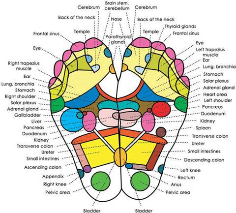 Image of Detox Foot Pads