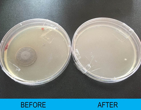 Image of Air Quality Test Kit