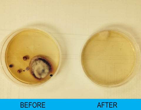 Image of Air Quality Test Kit