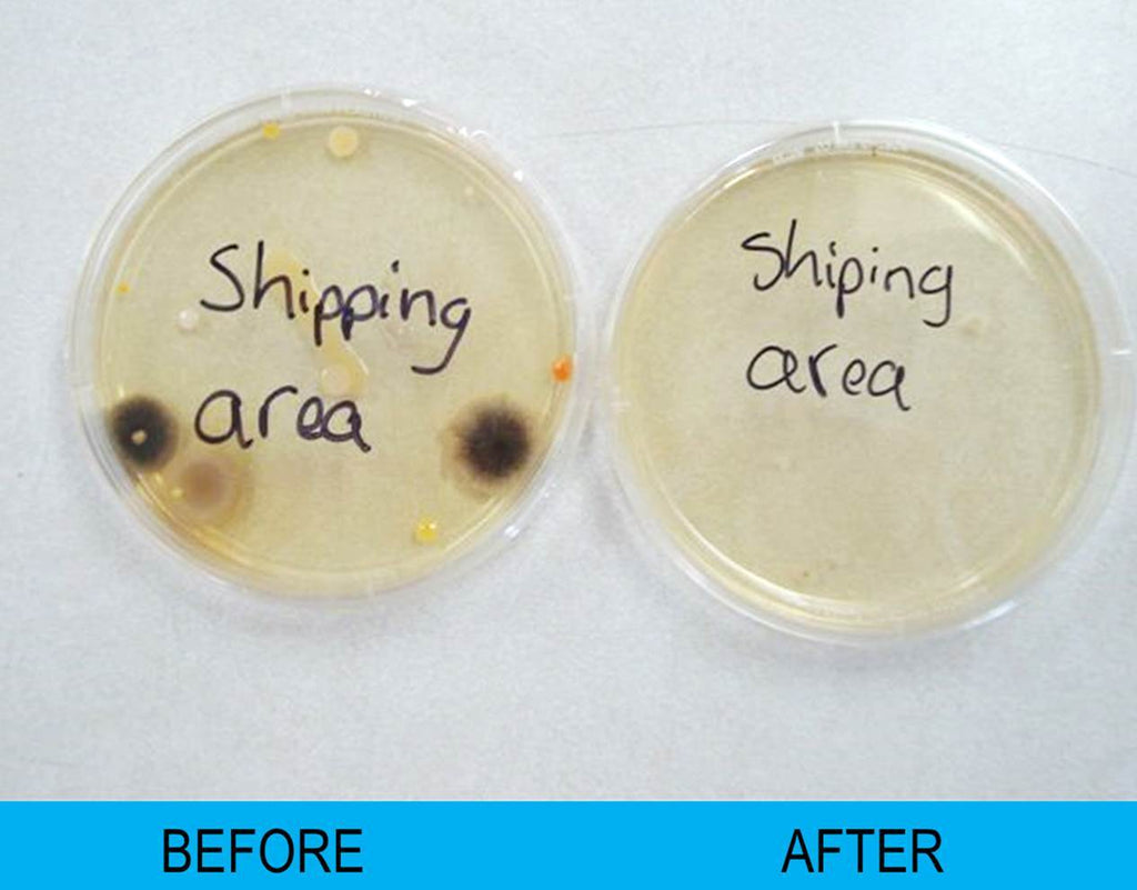 Air Quality Test Kit