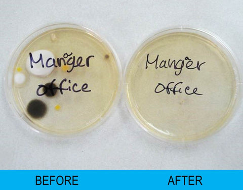 Image of Air Quality Test Kit