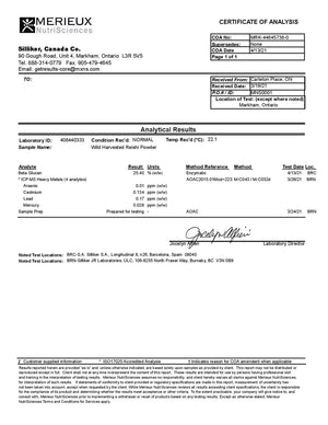 LifeBlud - Wild Reishi