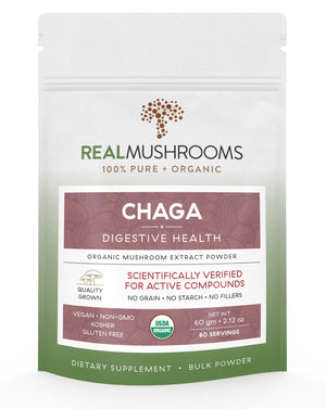 Chaga Extract - 60g Bulk Powder