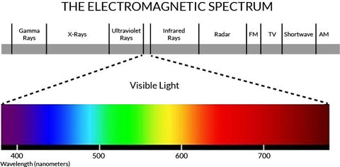 Image of TrueLight™ Energy Mat