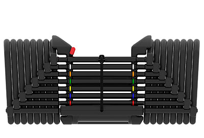Powerblock Dumbells