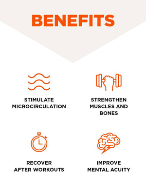 Whole Body Vibration Plate