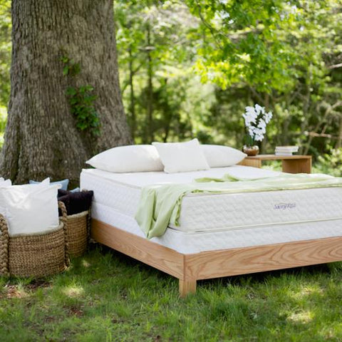 Image of Organic Beds & Furniture